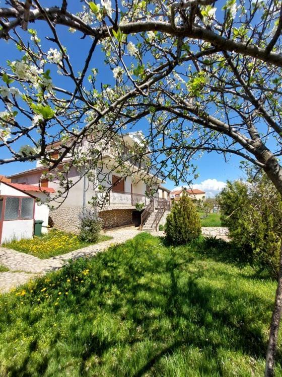Prespa'S Balcony Guesthouse Dolna Gorica Exterior foto